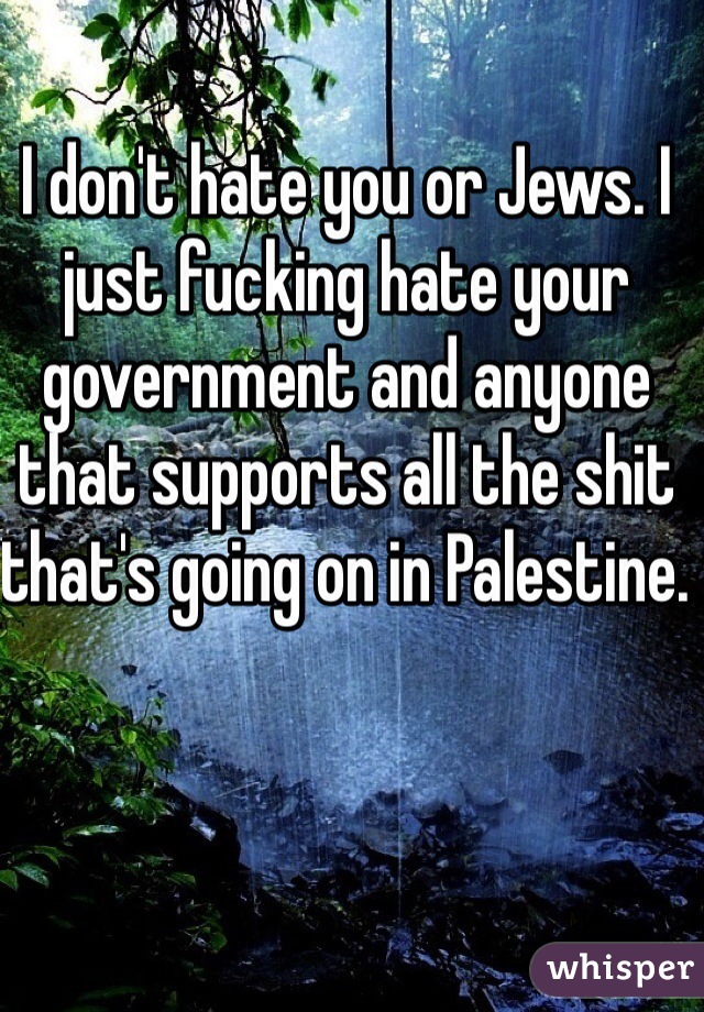 I don't hate you or Jews. I just fucking hate your government and anyone that supports all the shit that's going on in Palestine. 