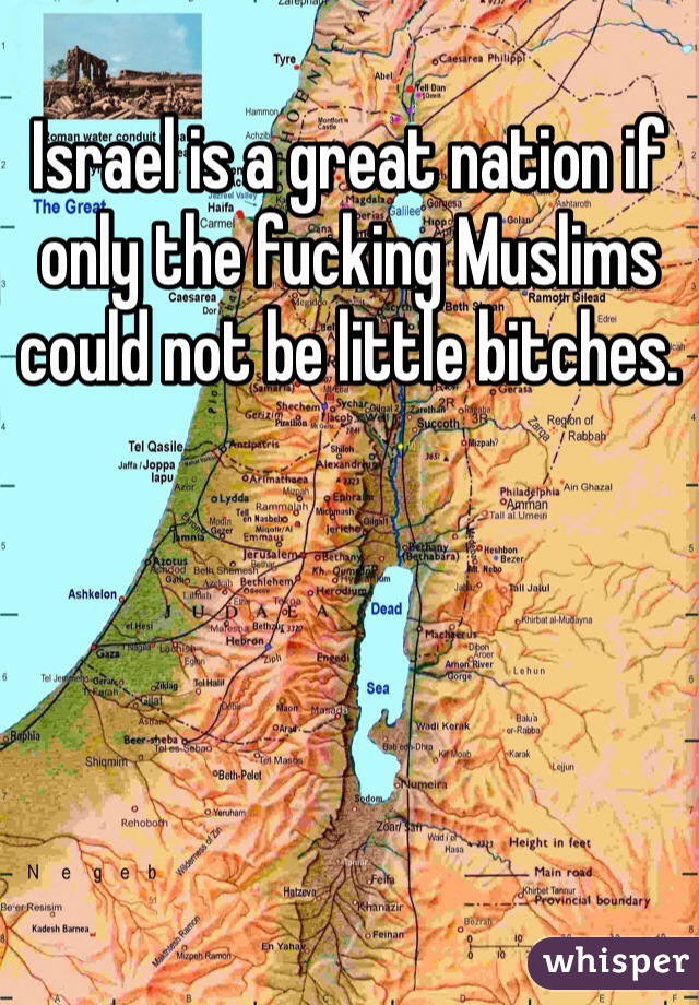 Israel is a great nation if only the fucking Muslims could not be little bitches. 