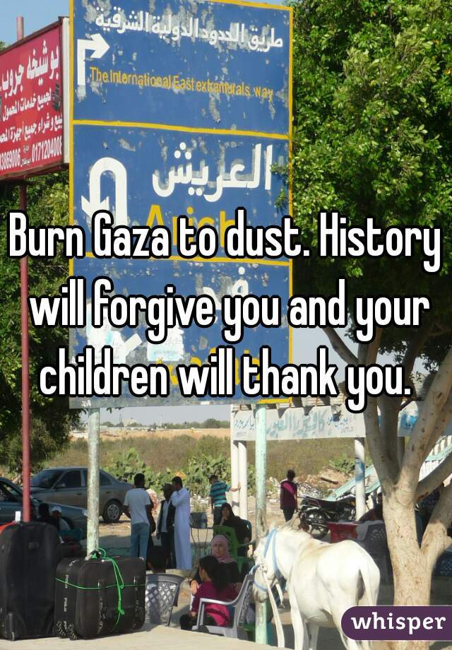 Burn Gaza to dust. History will forgive you and your children will thank you. 