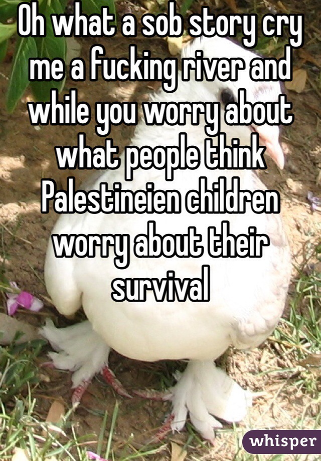 Oh what a sob story cry me a fucking river and while you worry about what people think Palestineien children worry about their survival