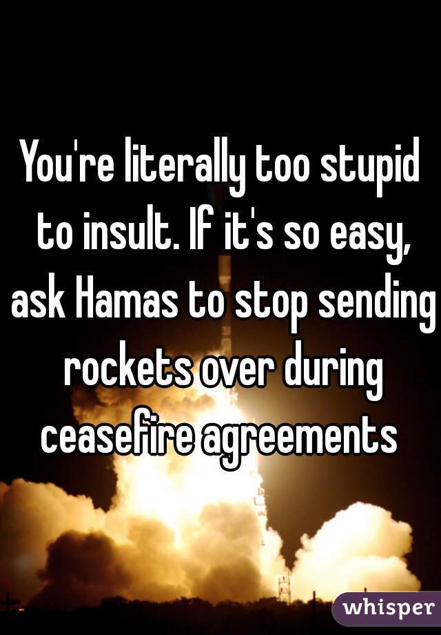 You're literally too stupid to insult. If it's so easy, ask Hamas to stop sending rockets over during ceasefire agreements 