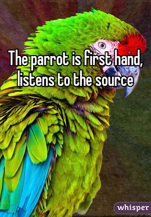 The parrot is first hand, listens to the source 