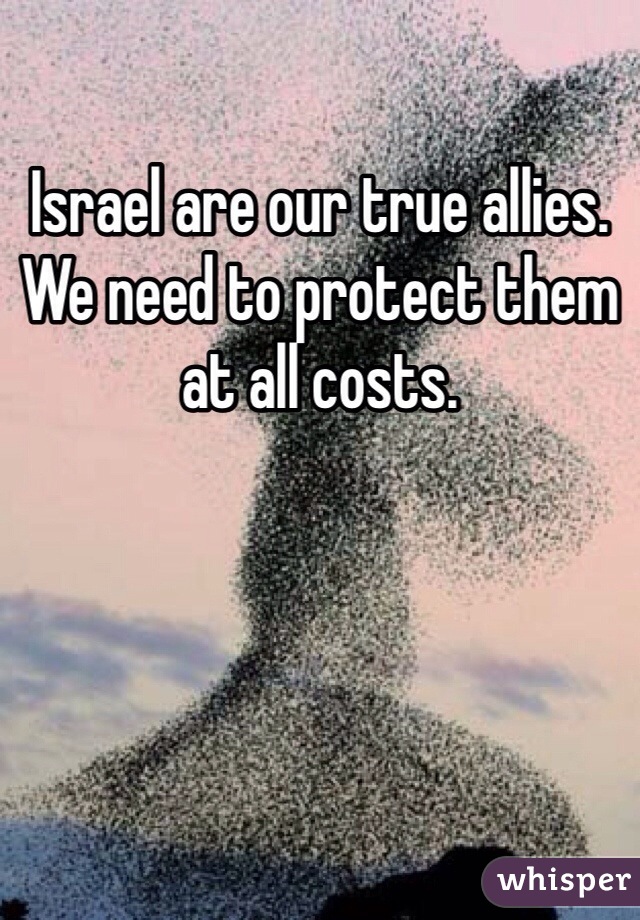 Israel are our true allies. 
We need to protect them at all costs. 