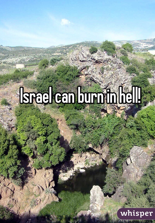 Israel can burn in hell! 