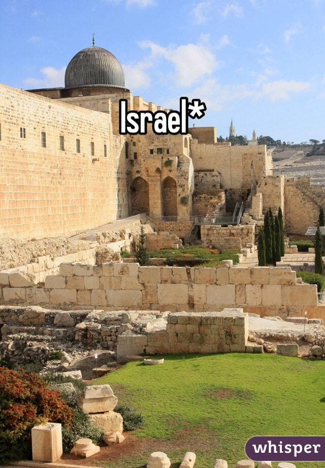 Israel*