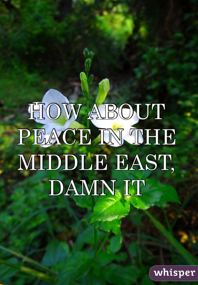 HOW ABOUT PEACE IN THE MIDDLE EAST, DAMN IT