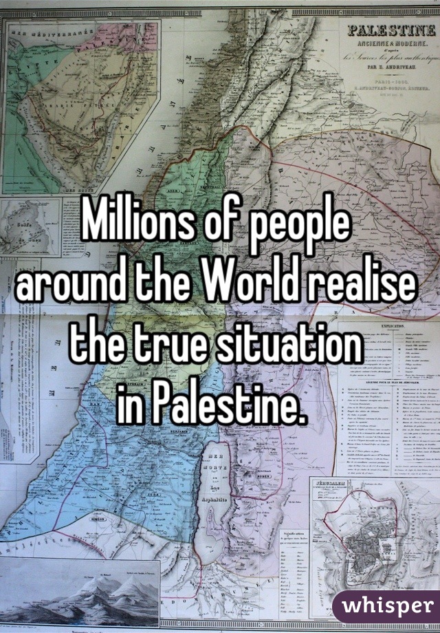 Millions of people 
around the World realise
the true situation
in Palestine. 