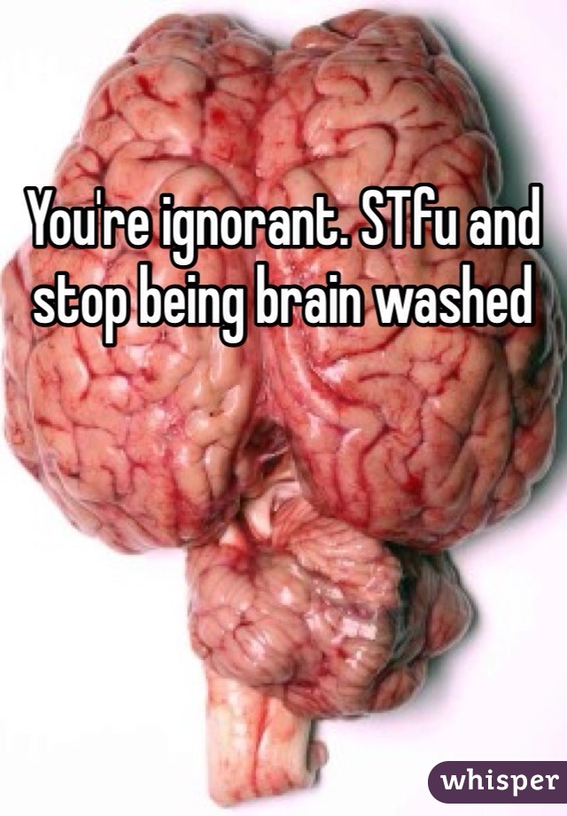 You're ignorant. STfu and stop being brain washed 