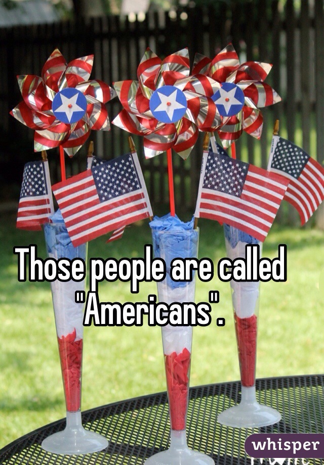 Those people are called "Americans". 