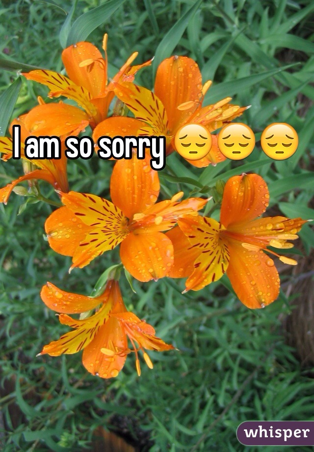 I am so sorry 😔😔😔