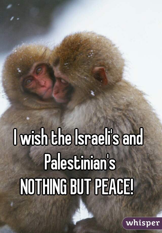 I wish the Israeli's and Palestinian's

 NOTHING BUT PEACE!  