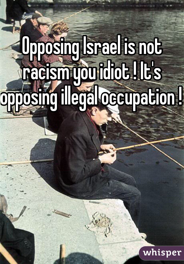 Opposing Israel is not racism you idiot ! It's opposing illegal occupation ! 