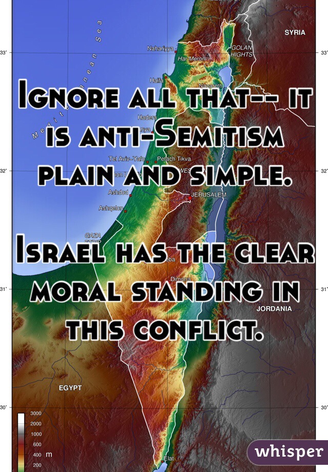 Ignore all that-- it is anti-Semitism plain and simple. 

Israel has the clear moral standing in this conflict. 