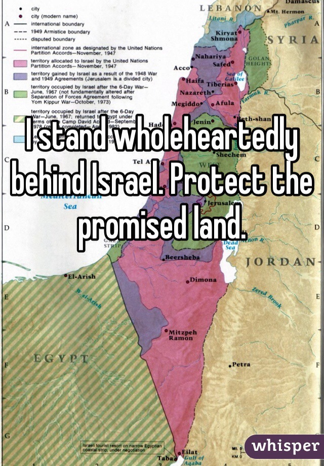 I stand wholeheartedly behind Israel. Protect the promised land.