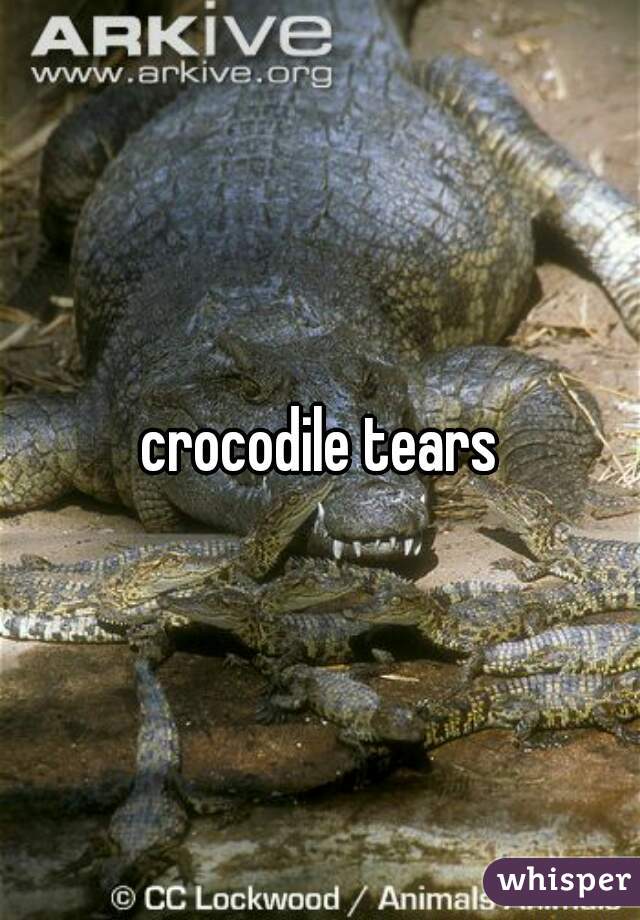 crocodile tears