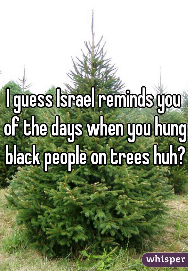 I guess Israel reminds you of the days when you hung black people on trees huh?