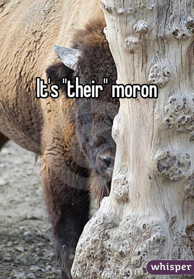 It's "their" moron