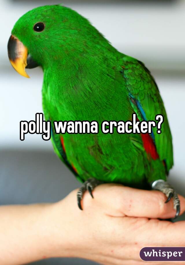 polly wanna cracker?