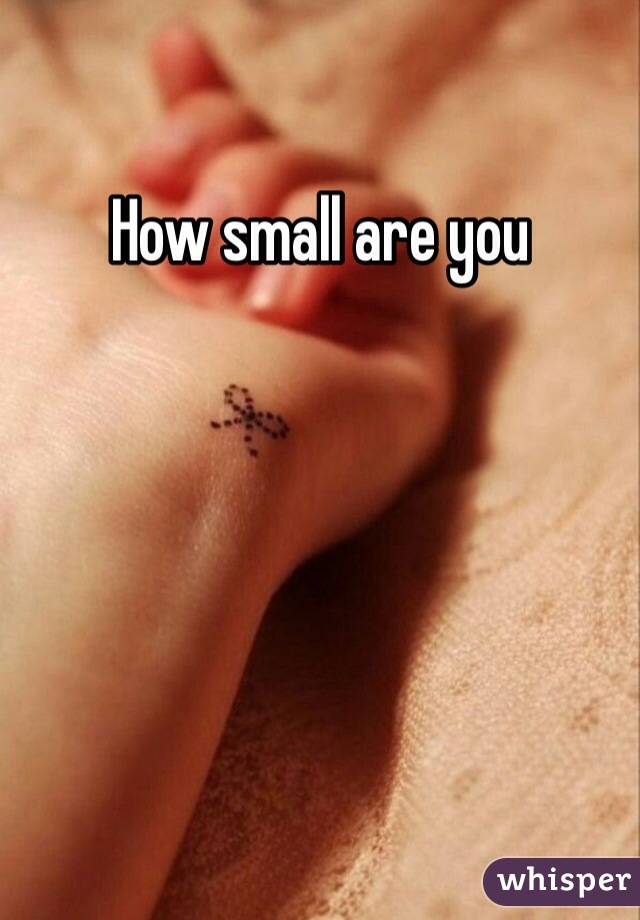 How small are you