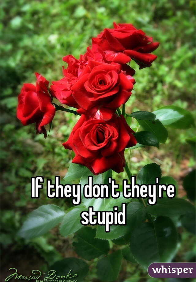 If they don't they're stupid