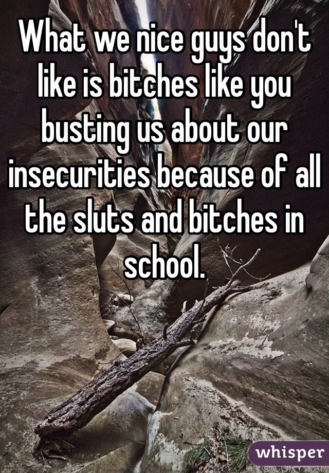 What we nice guys don't like is bitches like you busting us about our insecurities because of all the sluts and bitches in school.