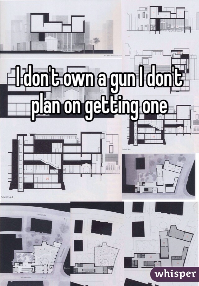 I don't own a gun I don't plan on getting one 