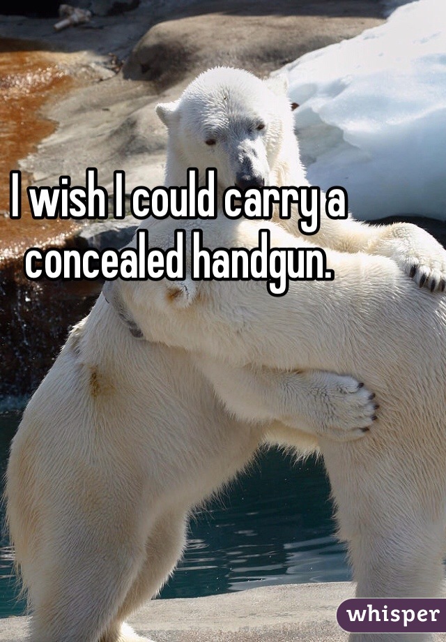 I wish I could carry a concealed handgun. 