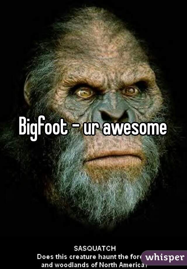 Bigfoot - ur awesome