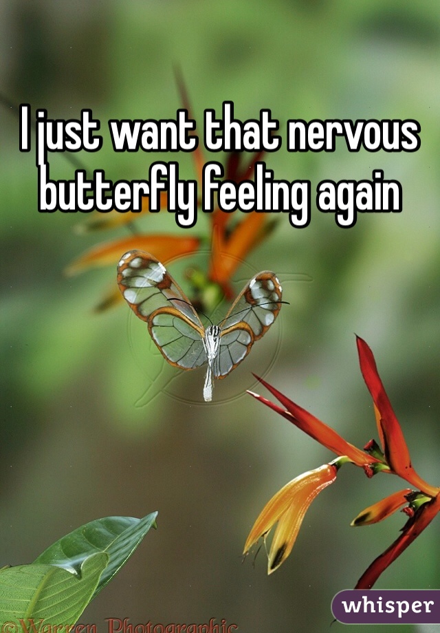 I just want that nervous butterfly feeling again 