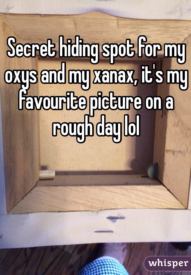 Secret hiding spot for my oxys and my xanax, it's my favourite picture on a rough day lol