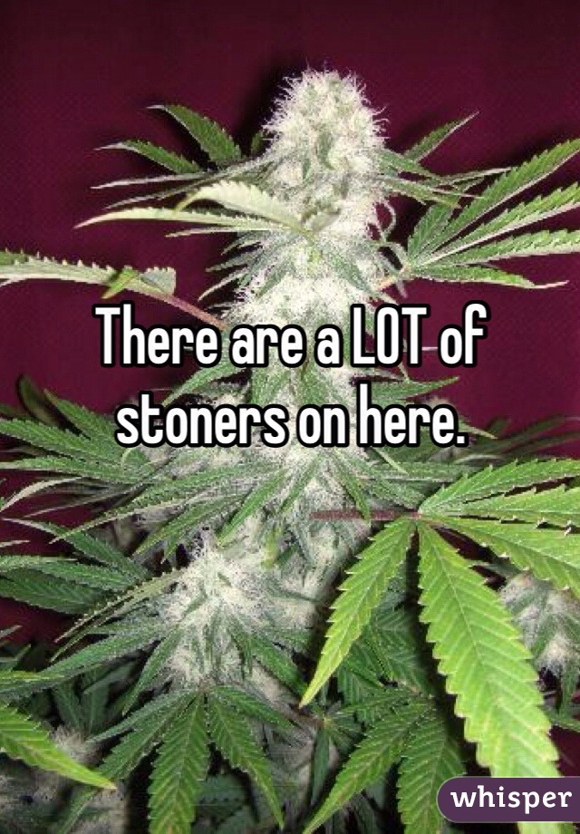 There are a LOT of stoners on here.