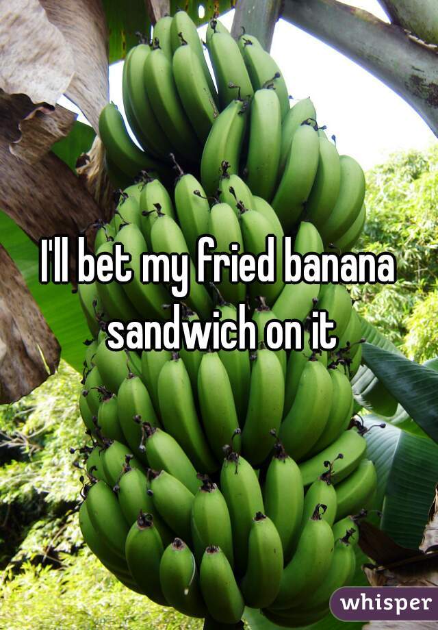 I'll bet my fried banana sandwich on it
