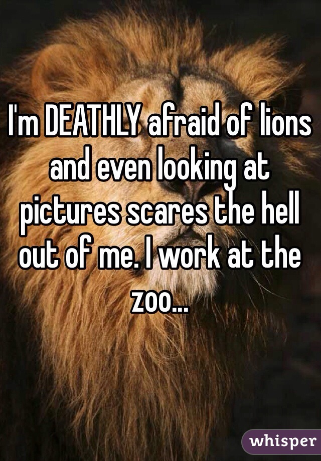 I'm DEATHLY afraid of lions and even looking at pictures scares the hell out of me. I work at the zoo...