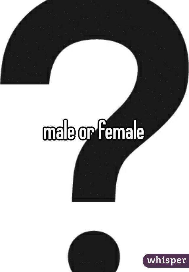 male or female