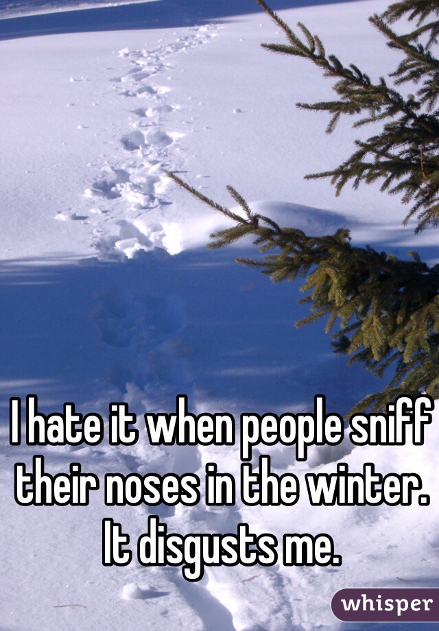 I hate it when people sniff their noses in the winter. It disgusts me.