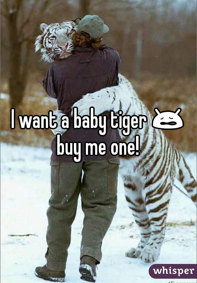 I want a baby tiger 😩 buy me one! 