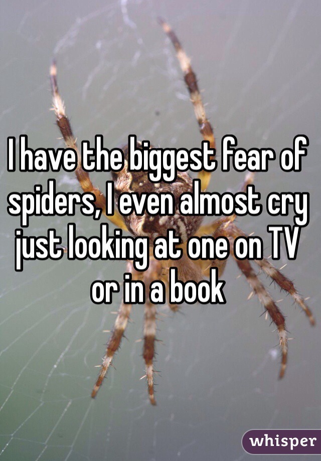 I have the biggest fear of spiders, I even almost cry just looking at one on TV or in a book