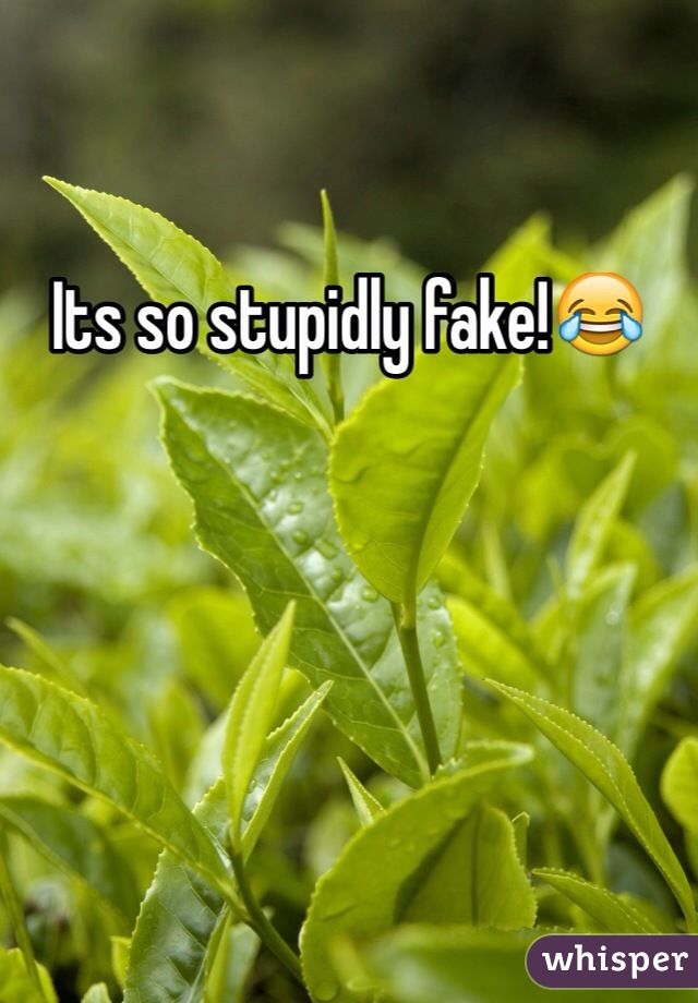 Its so stupidly fake!😂
