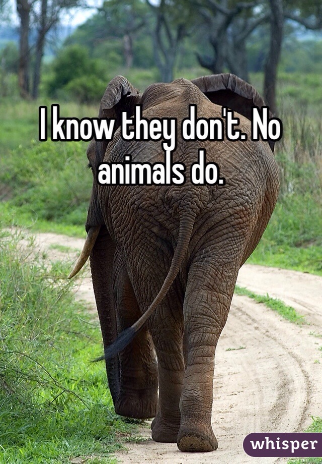 I know they don't. No animals do. 