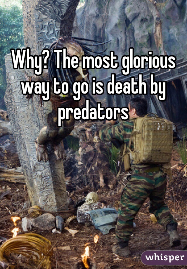 Why? The most glorious way to go is death by predators 