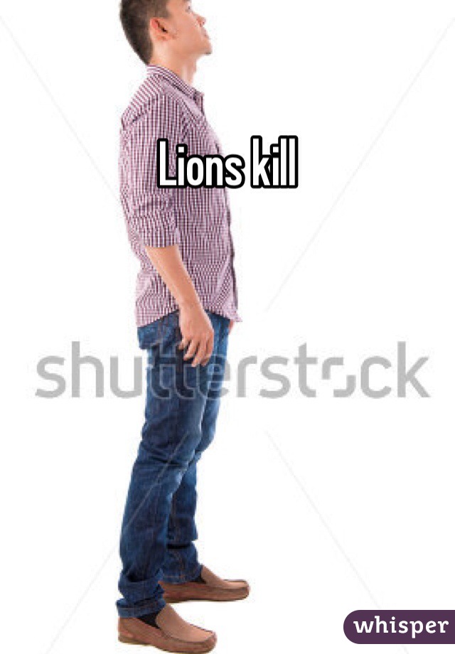 Lions kill