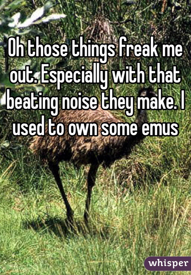 Oh those things freak me out. Especially with that beating noise they make. I used to own some emus