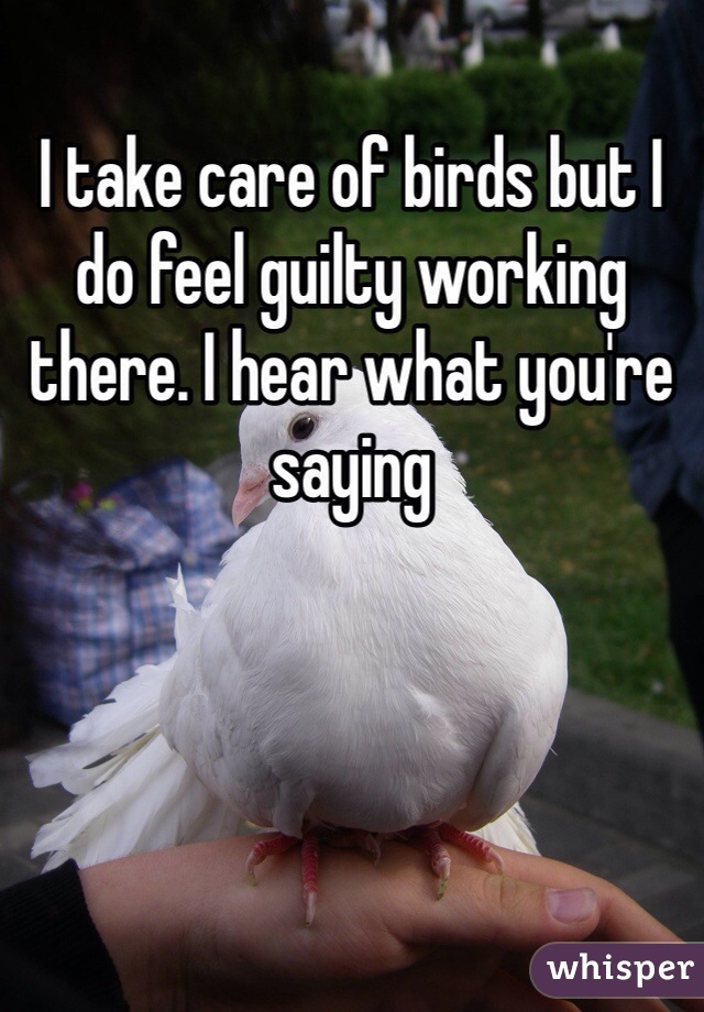 I take care of birds but I do feel guilty working there. I hear what you're saying 
