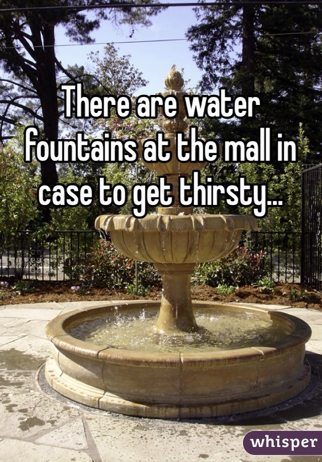 There are water fountains at the mall in case to get thirsty...