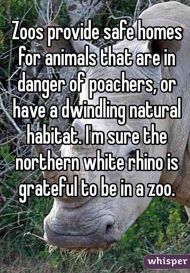 Zoos provide safe homes for animals that are in danger of poachers, or have a dwindling natural habitat. I'm sure the northern white rhino is grateful to be in a zoo. 