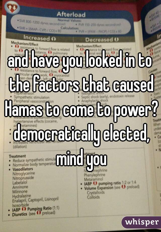 and have you looked in to the factors that caused Hamas to come to power? democratically elected, mind you