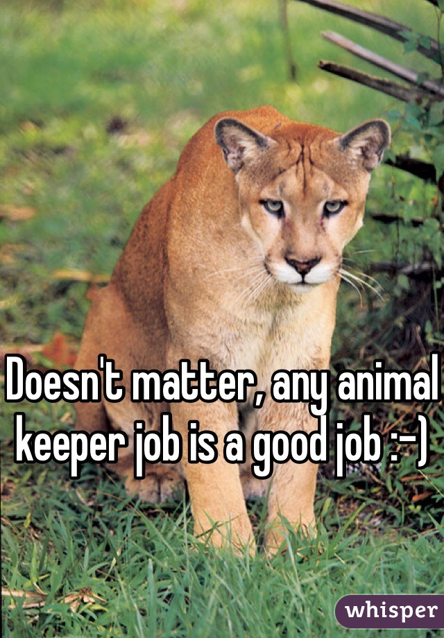 Doesn't matter, any animal keeper job is a good job :-)