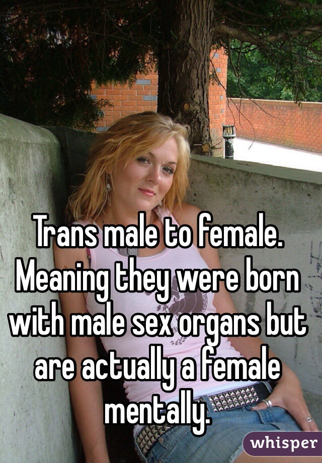 Trans male to female. Meaning they were born with male sex organs but are actually a female mentally.