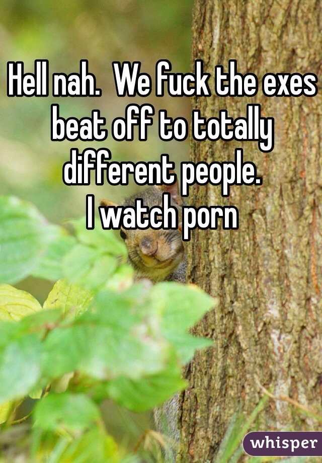 Hell nah.  We fuck the exes beat off to totally different people. 
I watch porn 