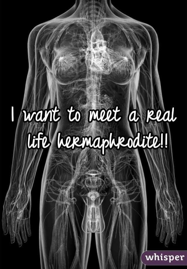 I want to meet a real life hermaphrodite!!